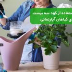 نحوه استفاده از کود سه بیست برای گیاهان آپارتمانی
