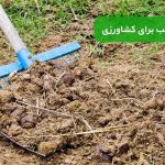 کود اسب برای کشاورزی