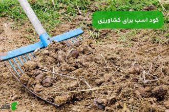 کود اسب برای کشاورزی