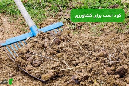 کود اسب برای کشاورزی