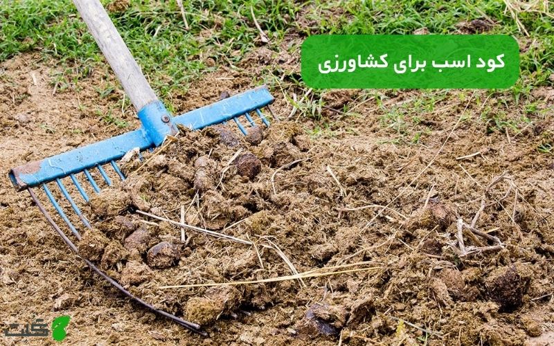 کود اسب برای کشاورزی