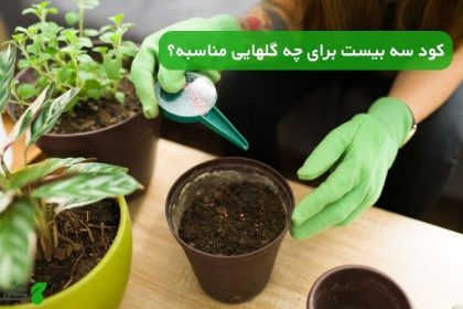 کود سه بیست برای چه گلهایی مناسبه؟