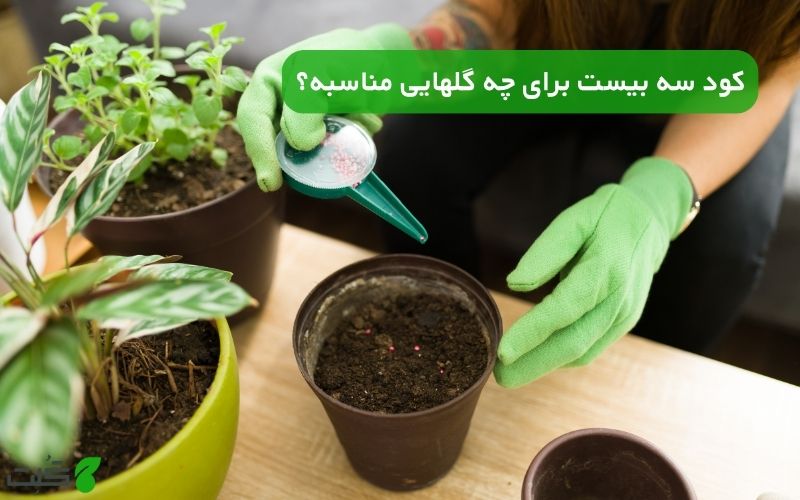 کود سه بیست برای چه گلهایی مناسبه؟