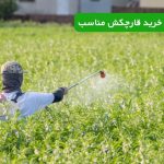 راهنمای کامل انتخاب و خرید قارچکش مناسب: کشاورزی، باغداری و گیاهان آپارتمانی