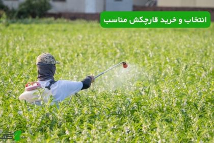 راهنمای کامل انتخاب و خرید قارچکش مناسب