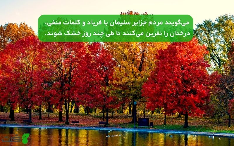 بررسی تاثیر موسیقی بر گیاهان