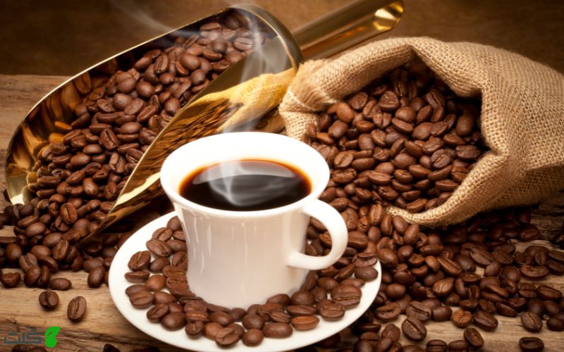 تفاله قهوه برای گیاهان 