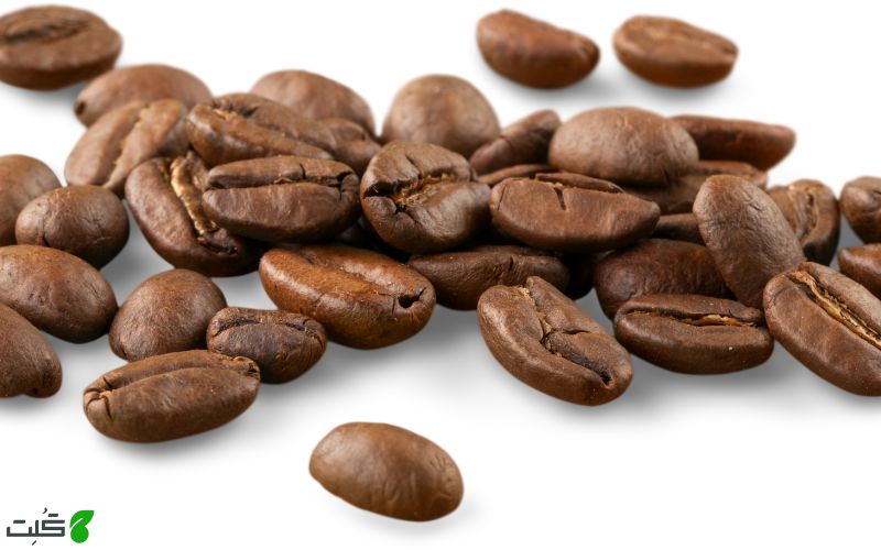 نحوه استفاده از تفاله قهوه برای گیاهان