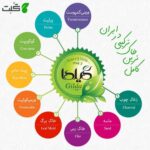 خاک گلدان گیلدا 4 لیتر