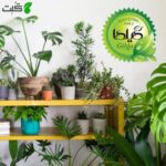 کود مایع هیومیک اسید هیومابن گیلدا