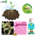 کود مایع کامل NPK گیلدا