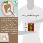 کوکوپیت گیلدا کد GP10L حجم 10 لیتر