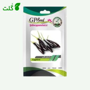 بذر بادمجان قلمی برند گلبرگ پامچال