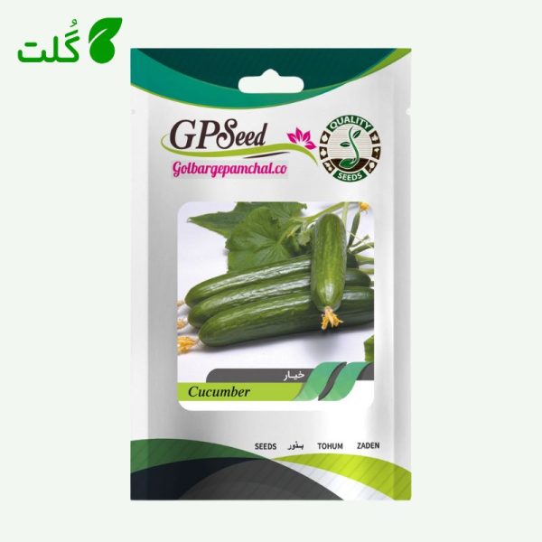 بذر خیار برند گلبرگ پامچال