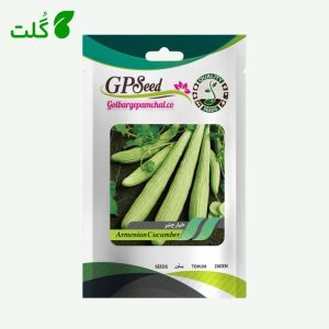 بذر خیار چنبر