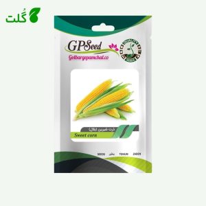 بذر ذرت شیرین برند گلبرگ پامچال