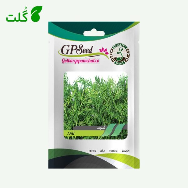 بذر شوید