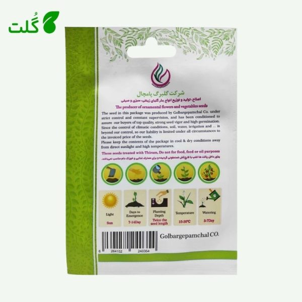 بذر پاپ کورن برند گلبرگ پامچال