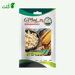بذر پاپ کورن برند گلبرگ پامچال