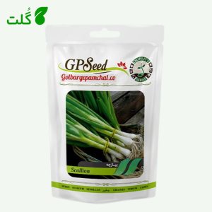 بذر پیازچه ته سفید برند گلبرگ پامچال