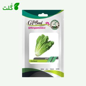 بذر کاهو رسمی