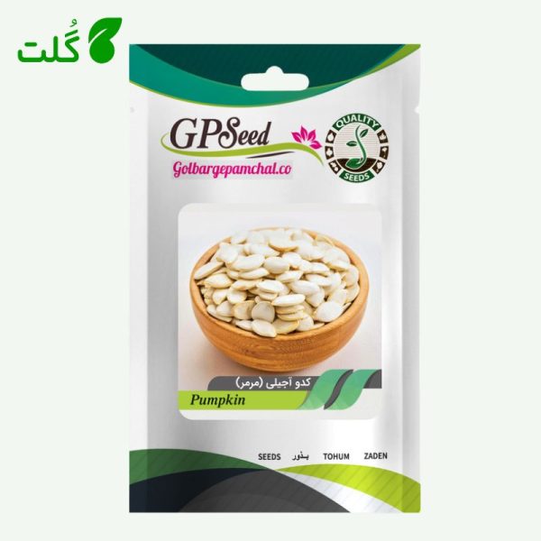 بذر کدو آجیلی برند گلبرگ پامچال