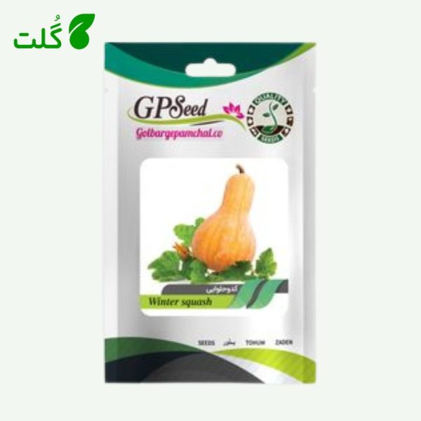 بذر کدو حلوایی برند گلبرگ پامچال