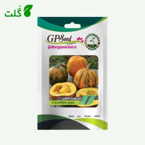 بذر کدو پوست کاغذی(تخم کاغذی)