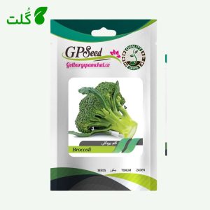 بذر کلم بروکلی برند گلبرگ پامچال