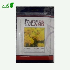 بذر گل جعفری سیدزلند بهرویش