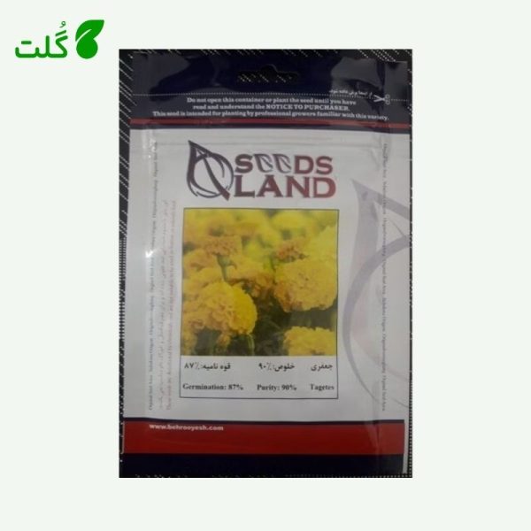 بذر گل جعفری سیدزلند بهرویش