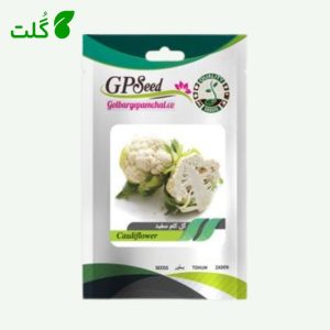 بذر گل کلم سفید