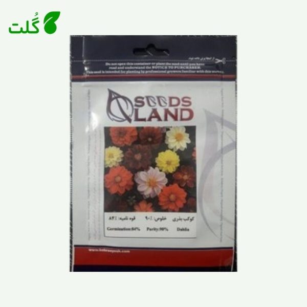بذر گل کوکب بذری برند سیدز لند