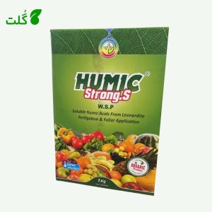 هیومیک پودری اسپانیا