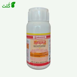 کنفیدور ۲۵۰سی سی