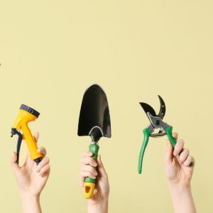 ابزار آلات گیاهان آپارتمانی